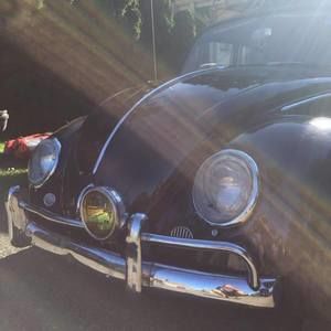 Meet your Posher, Jason